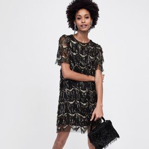 Zara Sequined Fringe dress